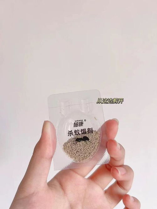 优质蚂蚁药泡罩包装厂家推荐与包装服务全面解析